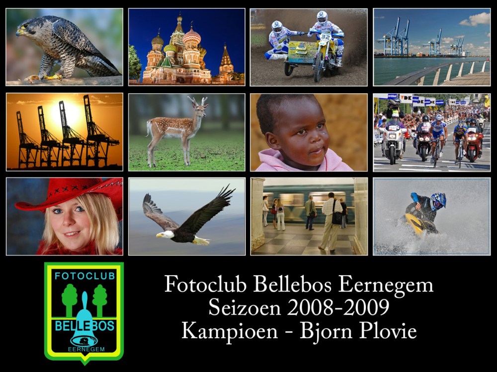 bellebos 2008-2009