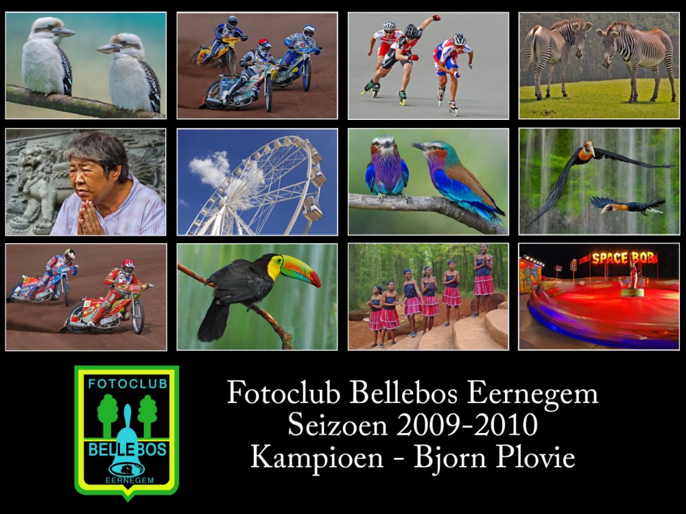 bellebos 2009-2010