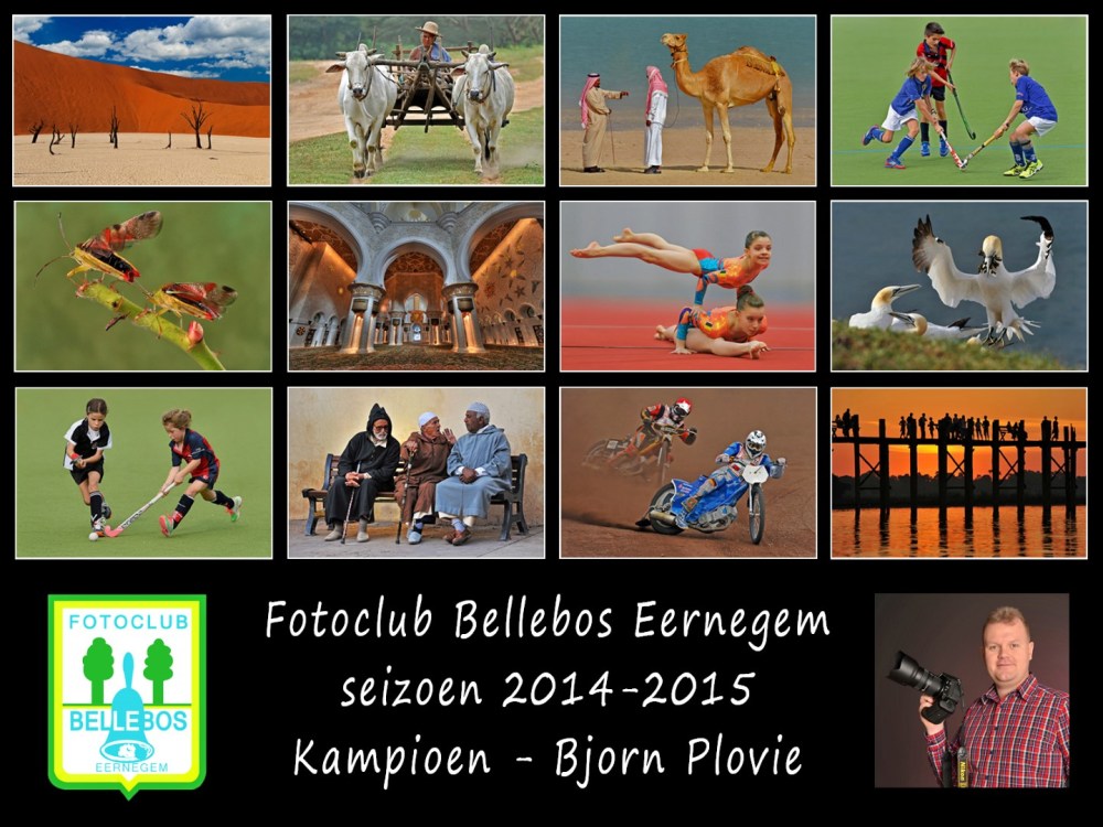 bellebos 2014-2015