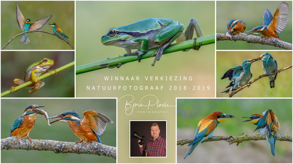 Natuurfotograaf bellebos web