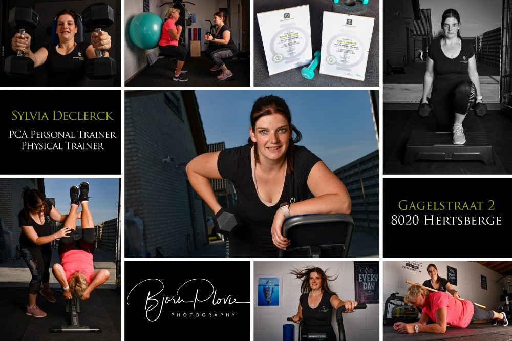 compilatie Sylvia verkleind